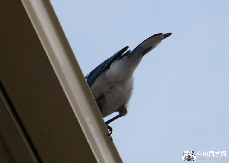 DSCF9412.JPG