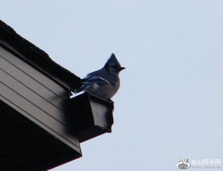 DSCF9408.JPG