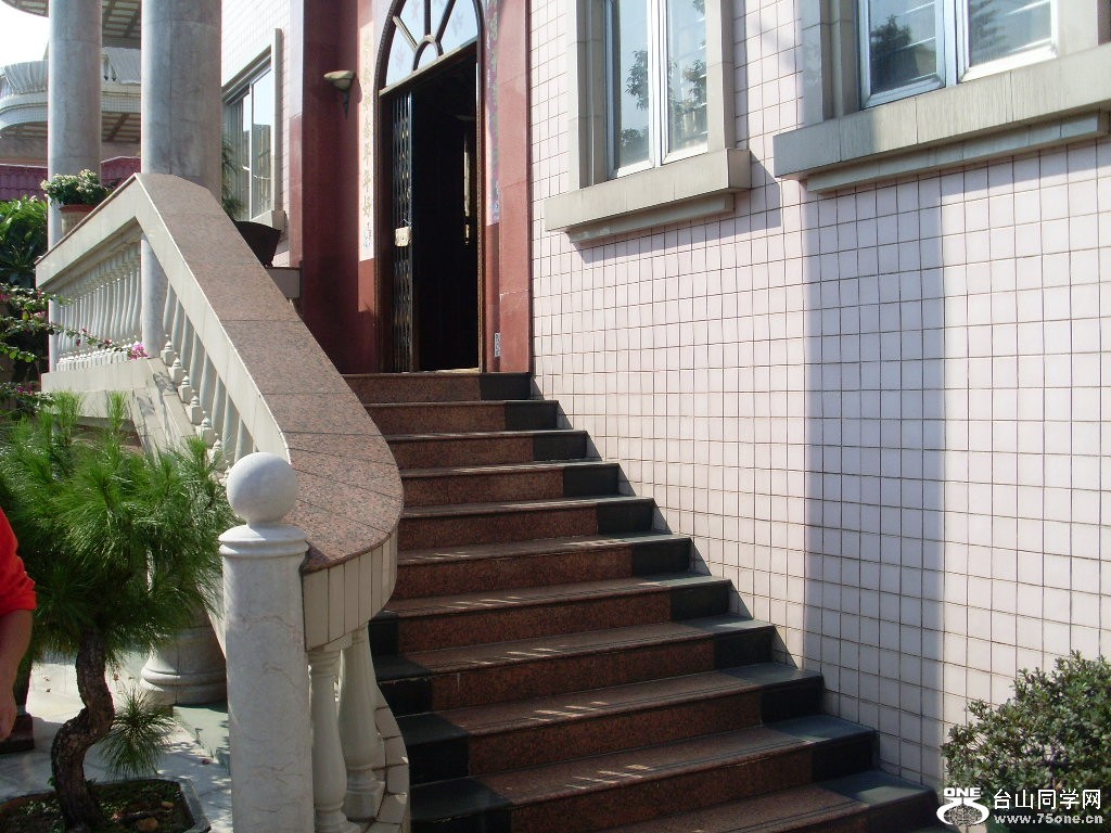 SL373576.JPG
