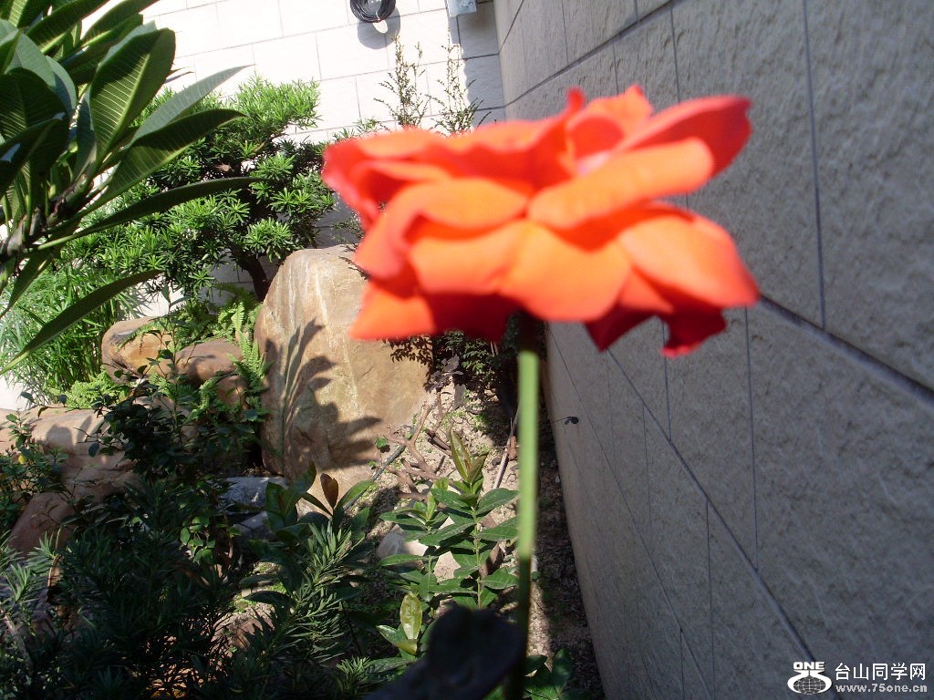 SL373650.JPG