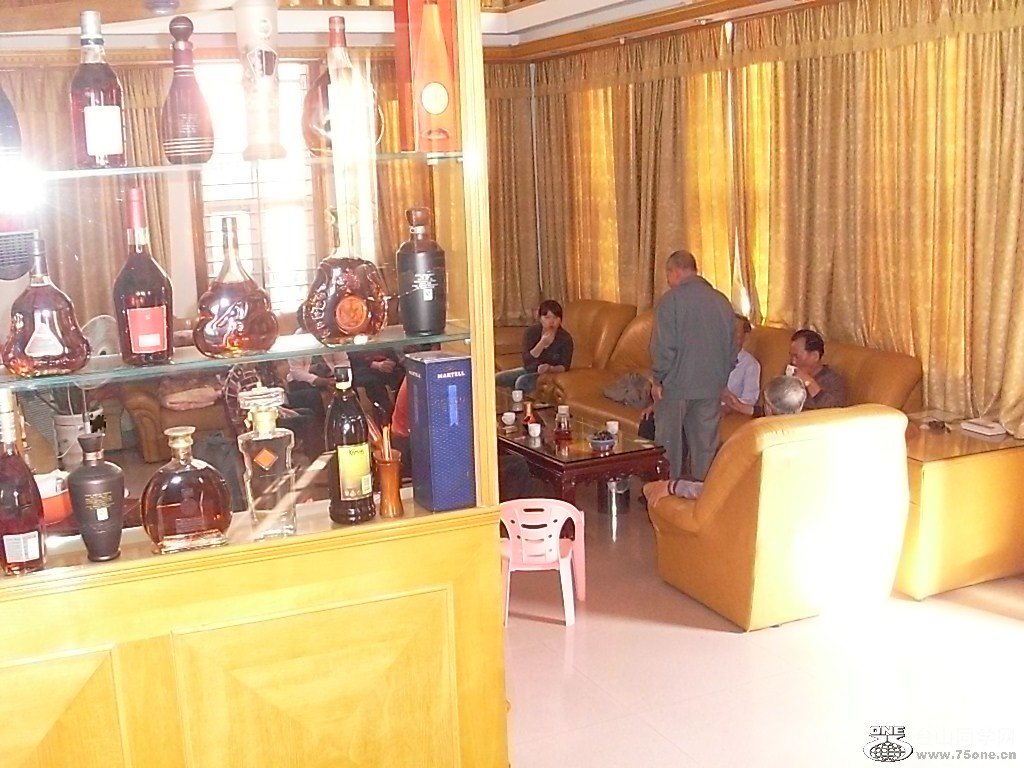 SL373620.JPG
