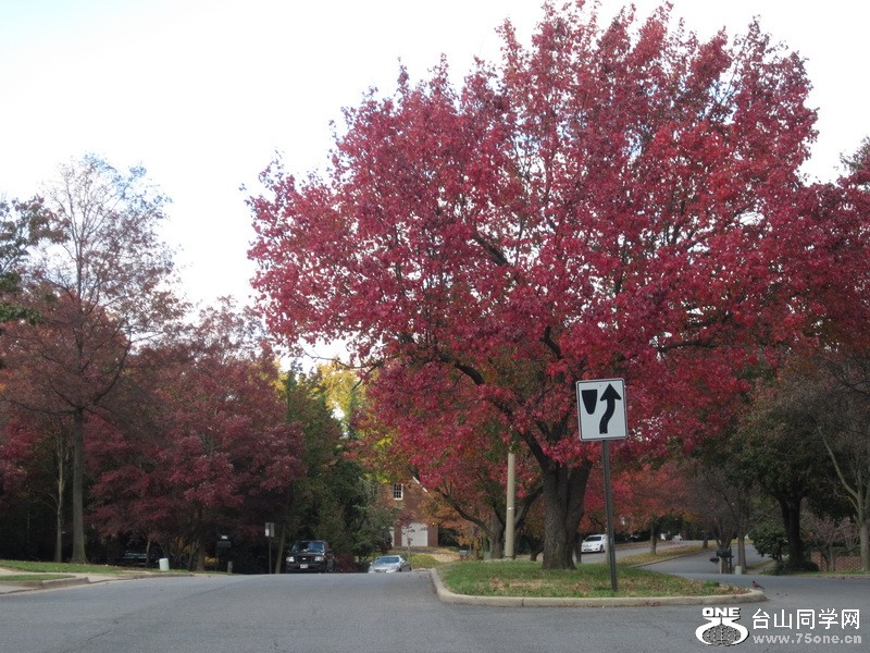 1224.jpg