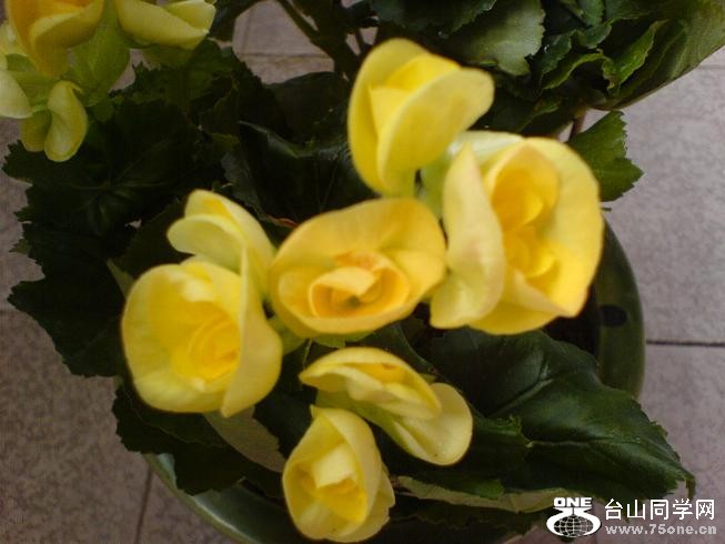 DSC06128.JPG