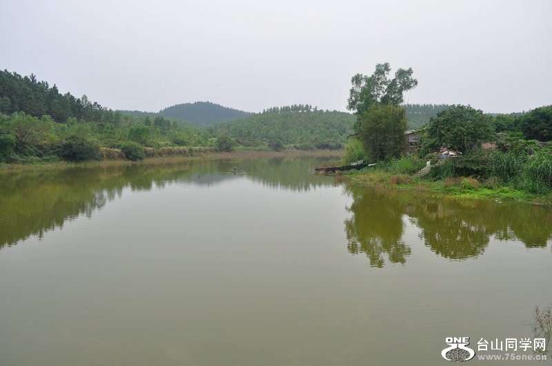 DSC_0205_.JPG