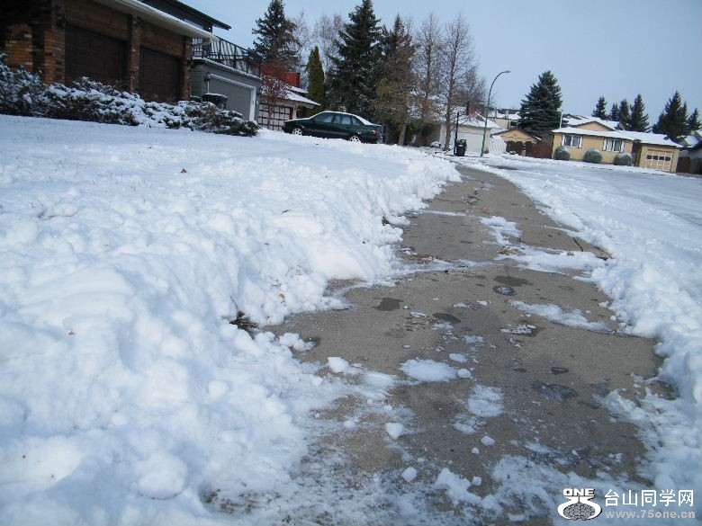 DSCF9481.JPG