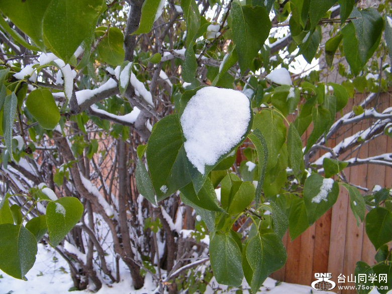 DSCF9461.JPG