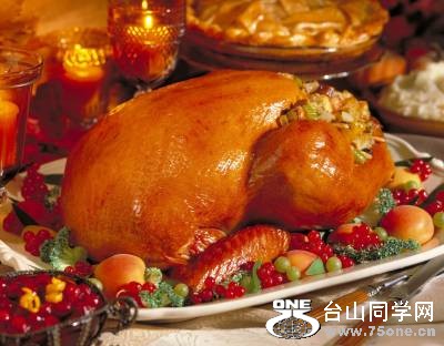thanksgiving-turkey[1].jpg