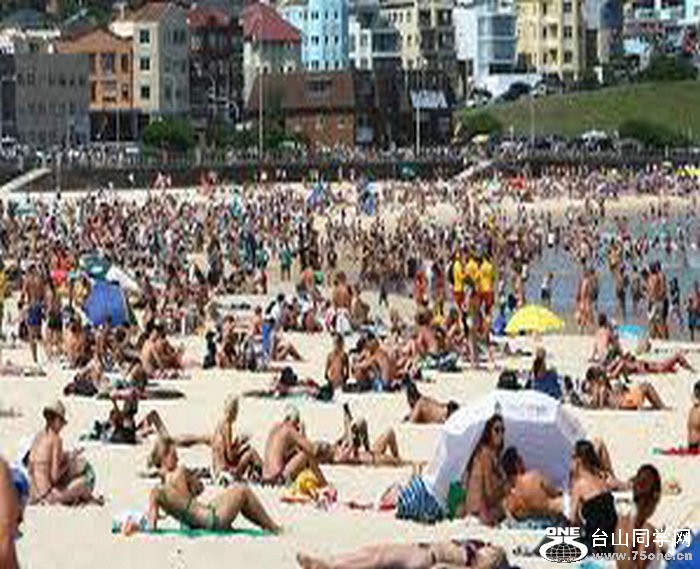 bondi beach.jpg