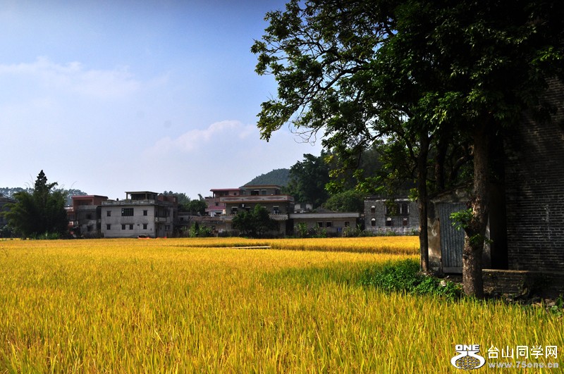 DSC_8890.jpg