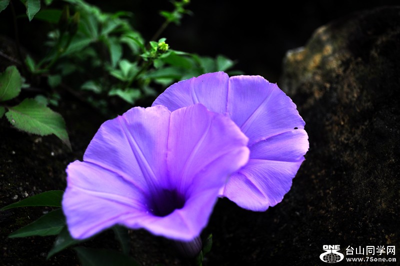 Ƭ 044.jpg
