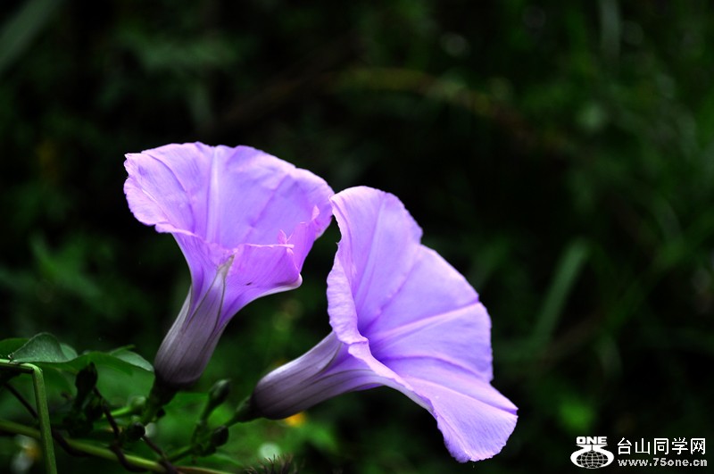 Ƭ 047.jpg