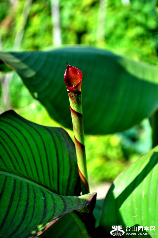 DSC_9913.jpg