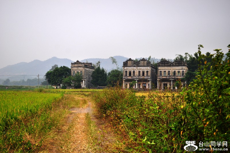 DSC_8819.jpg