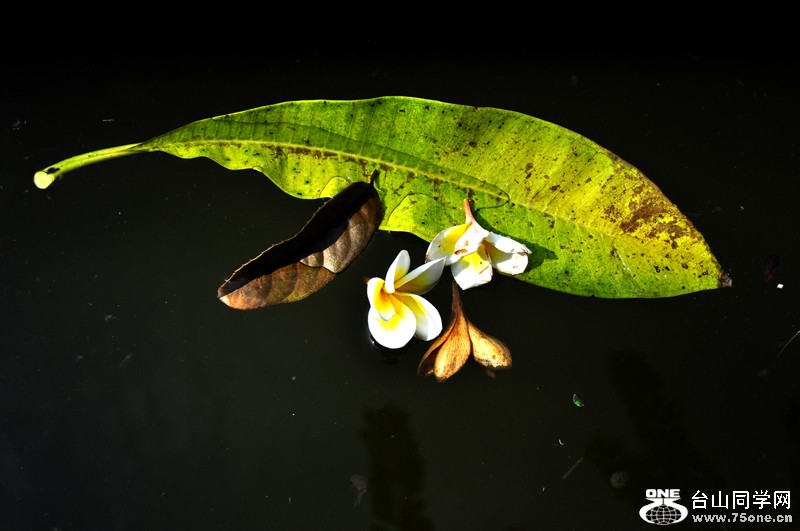 DSC_9779.jpg