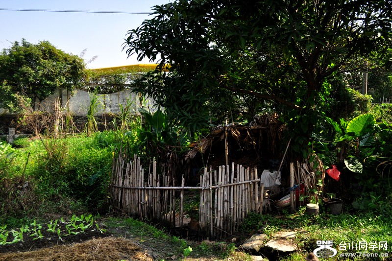 DSC_9938.jpg