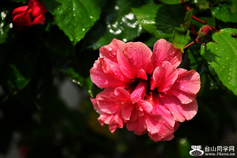 DSC_9728.jpg