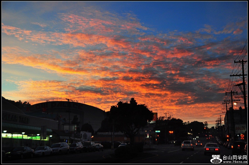 DSC_5204.jpg