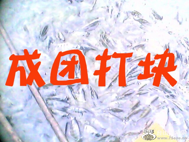 IMG0096A_conew1_.jpg