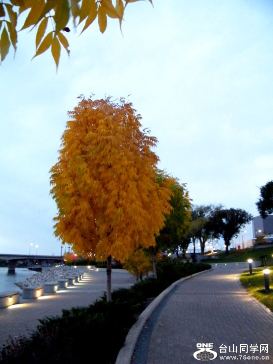 DSCF8690.JPG