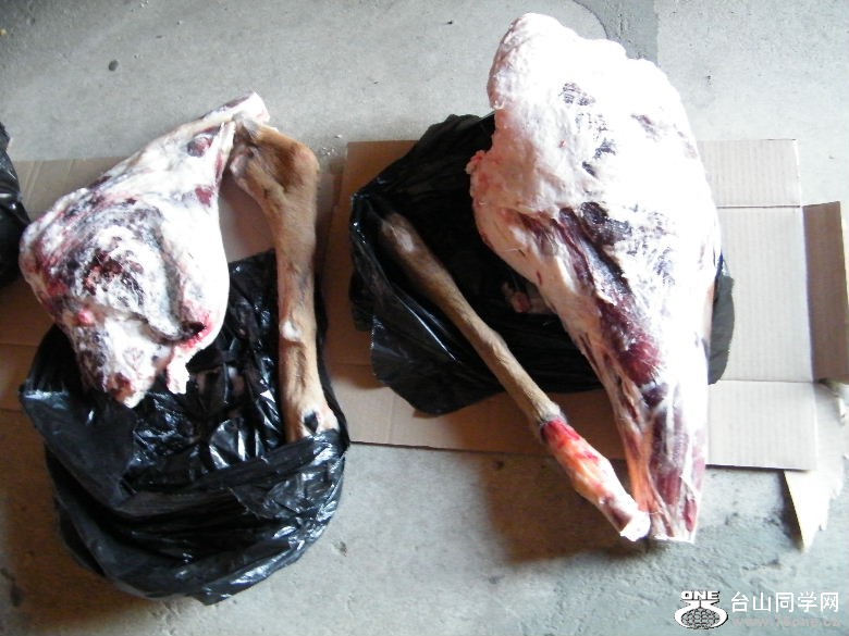 DSCF9700.JPG