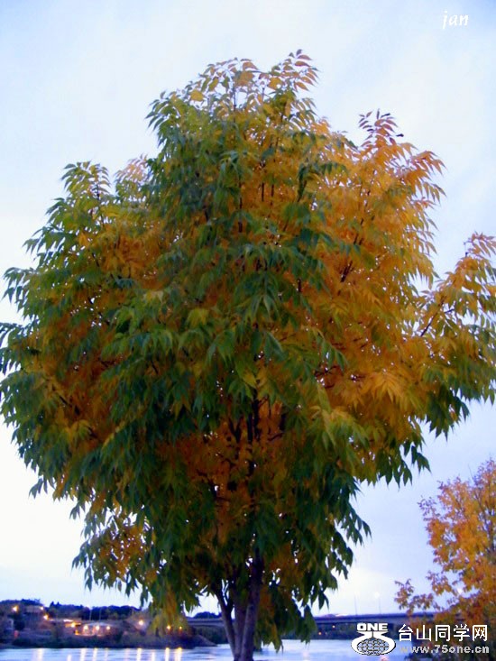 DSCF8692=.jpg