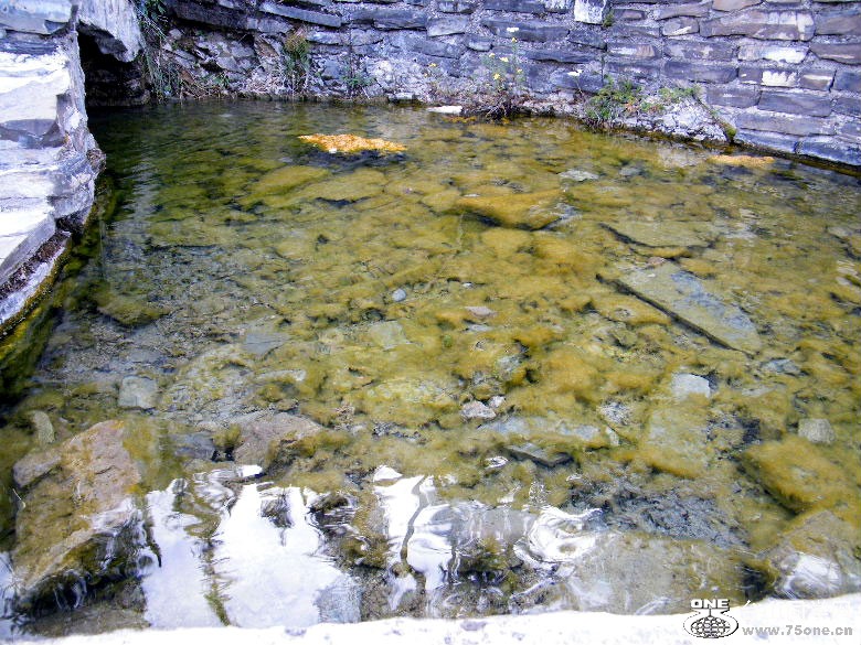 DSCF3845=.jpg