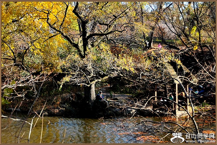 dsc_2540.jpg