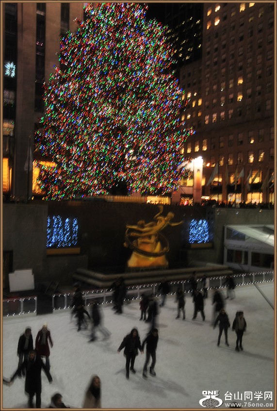 DSC_3104.JPG