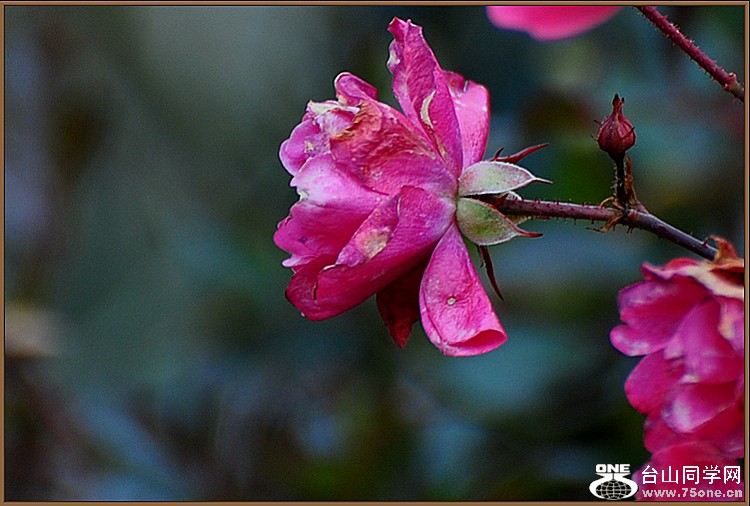 DSC_4666.JPG
