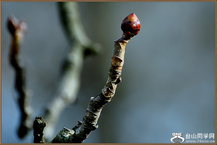 DSC_4510.JPG
