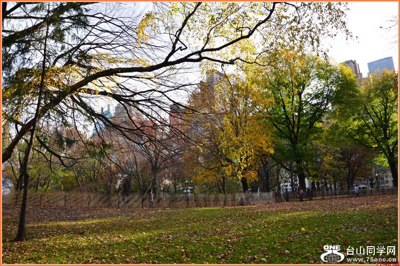 DSC_2361.JPG
