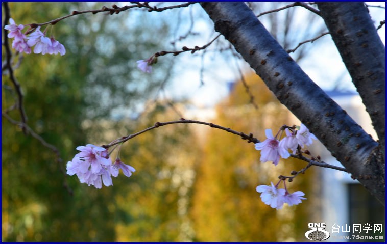 DSC_2748.JPG