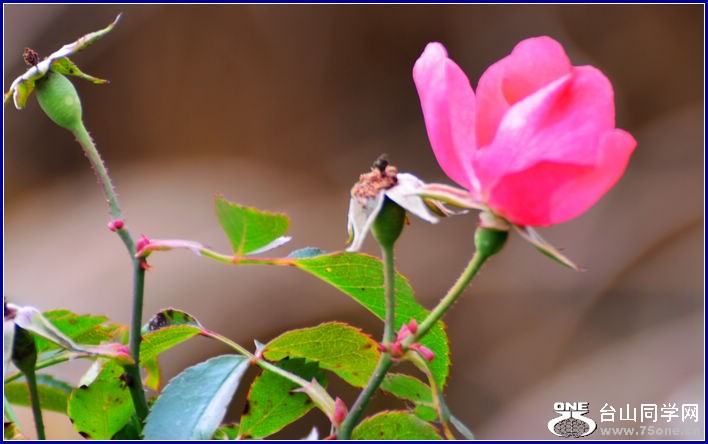 DSC_3156.JPG