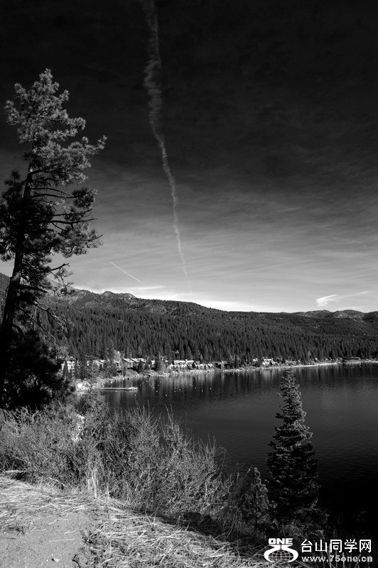 DSC_1663.JPG