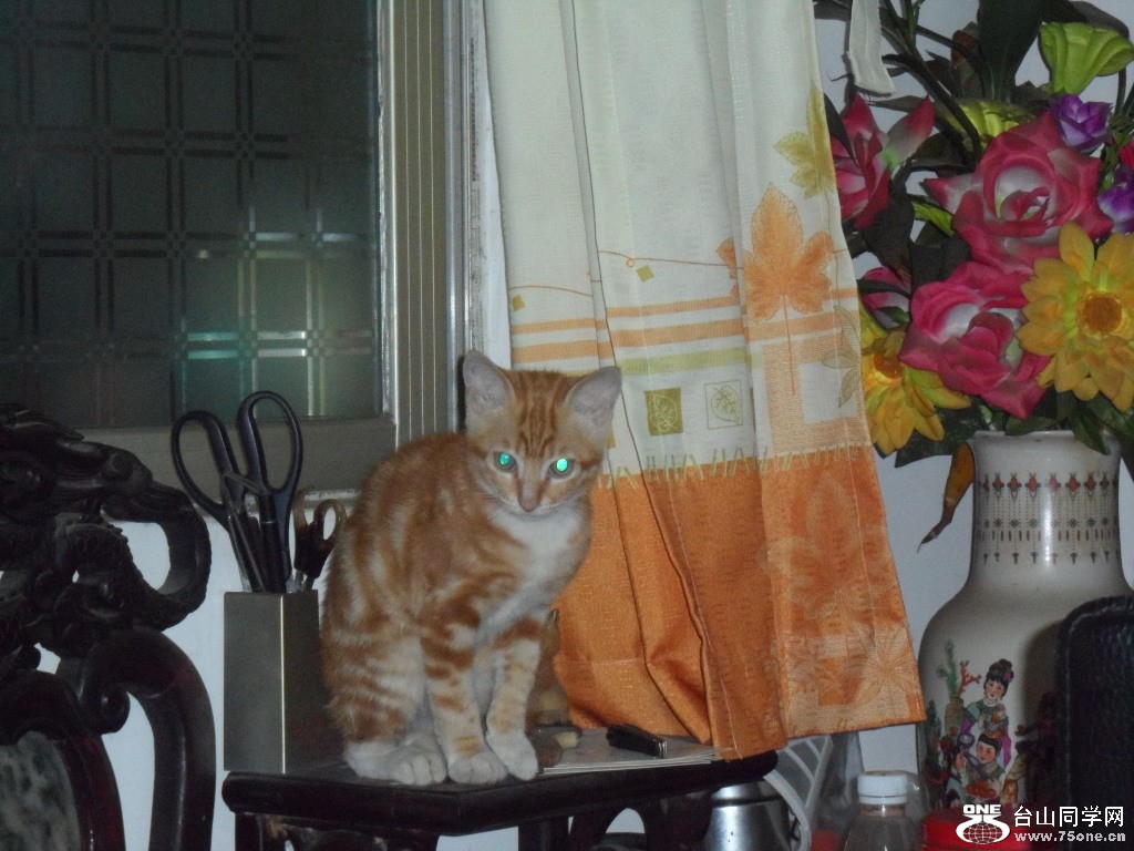 SAM_0320.JPG