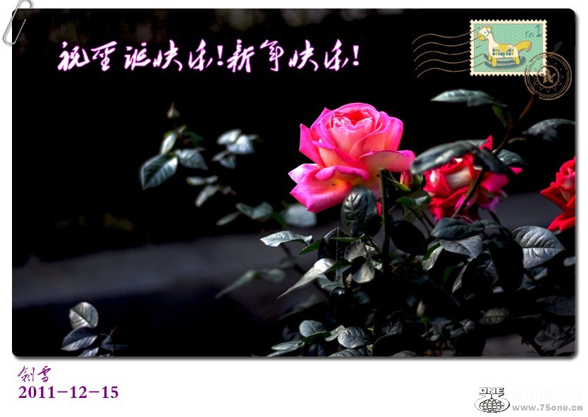 DSC_0145_副本_conew1.jpg