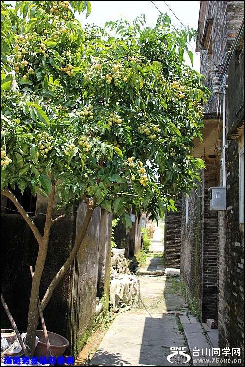 IMG_5631_conew1.jpg