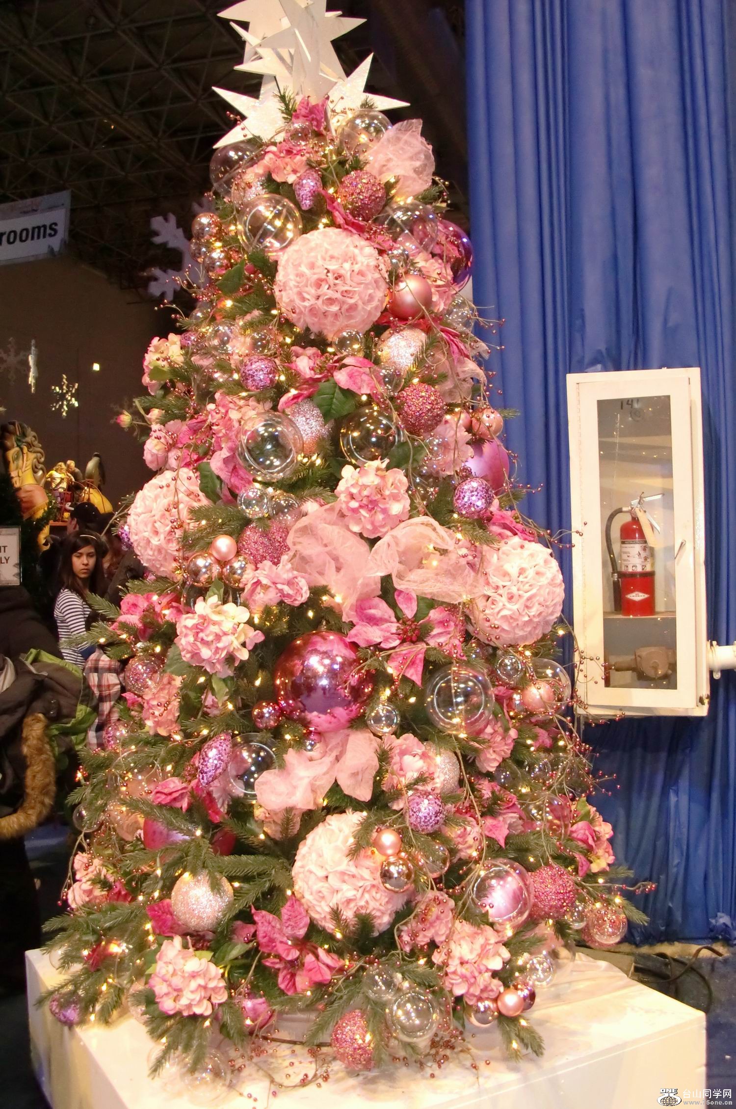 2011.12 ʥֳ (13).JPG