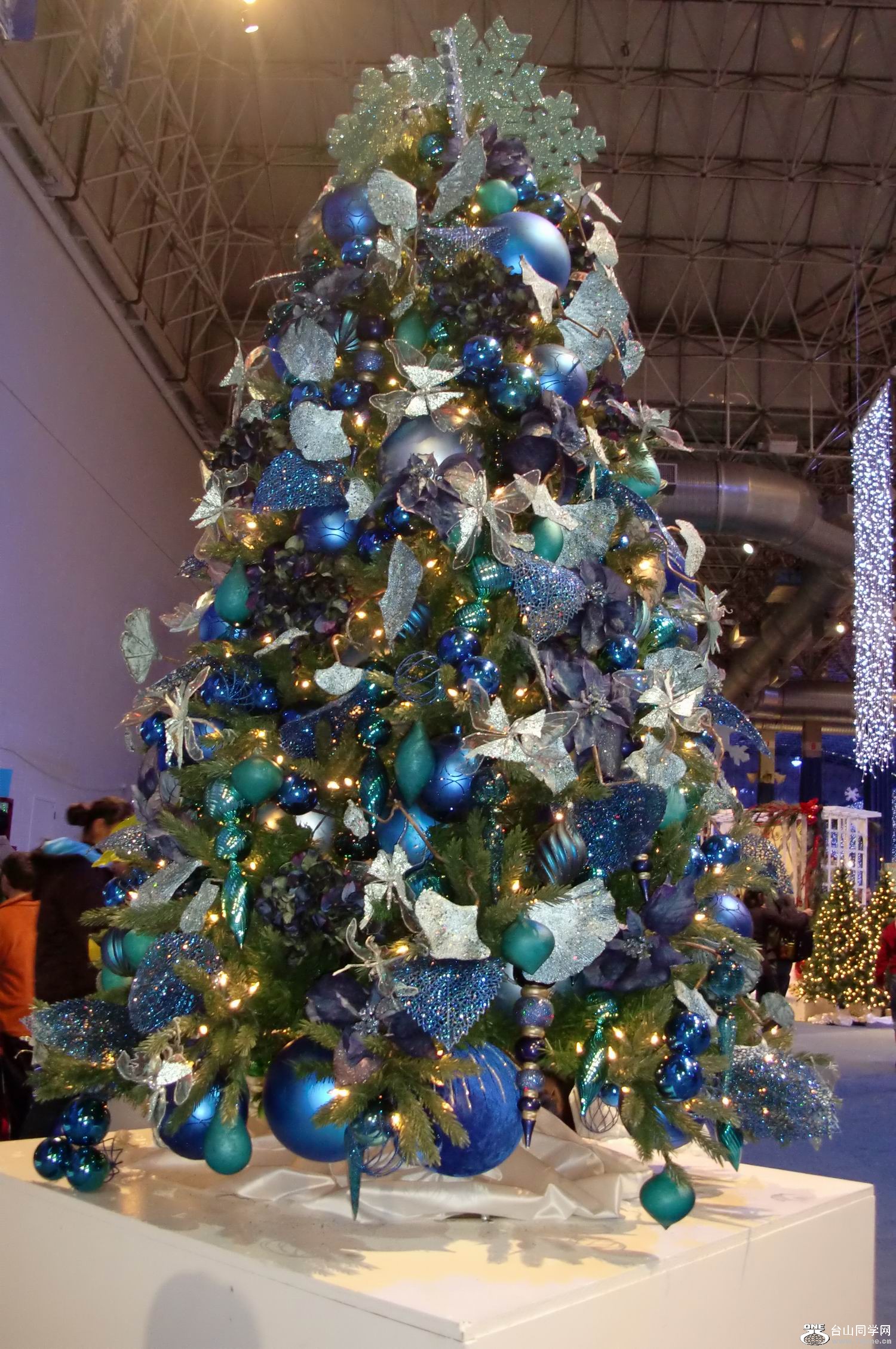 2011.12 ʥֳ (1).JPG