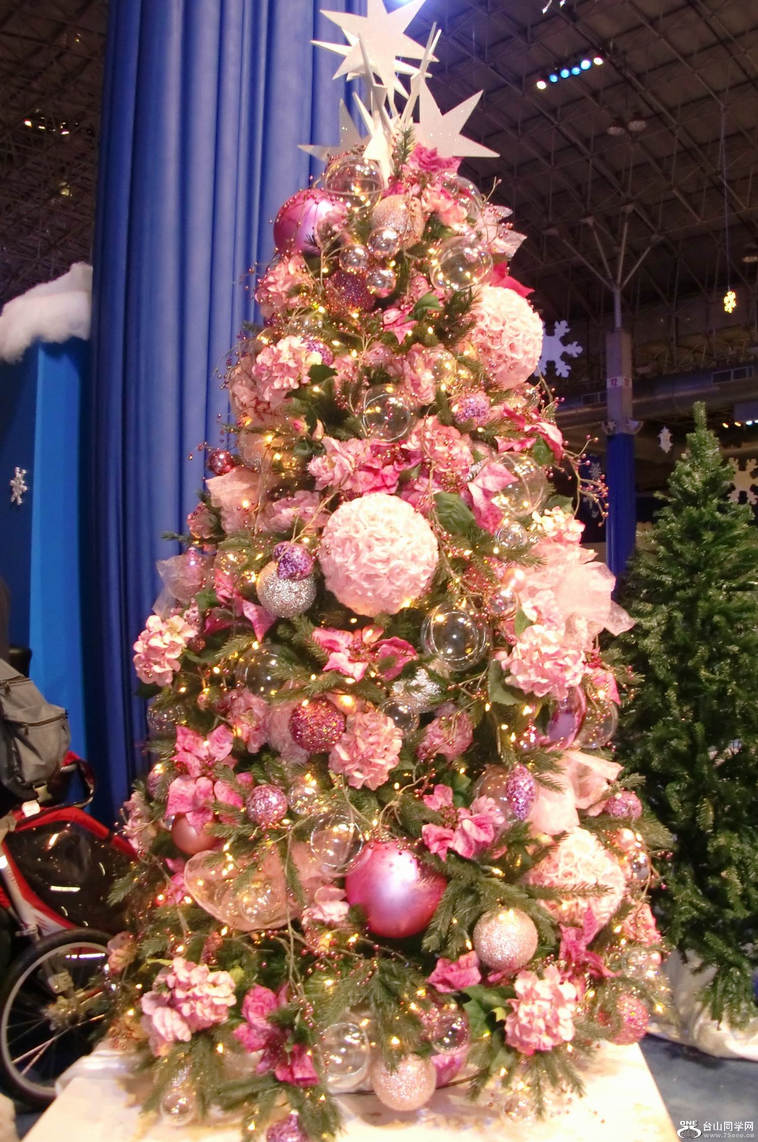 2011.12 ʥֳ (5).JPG