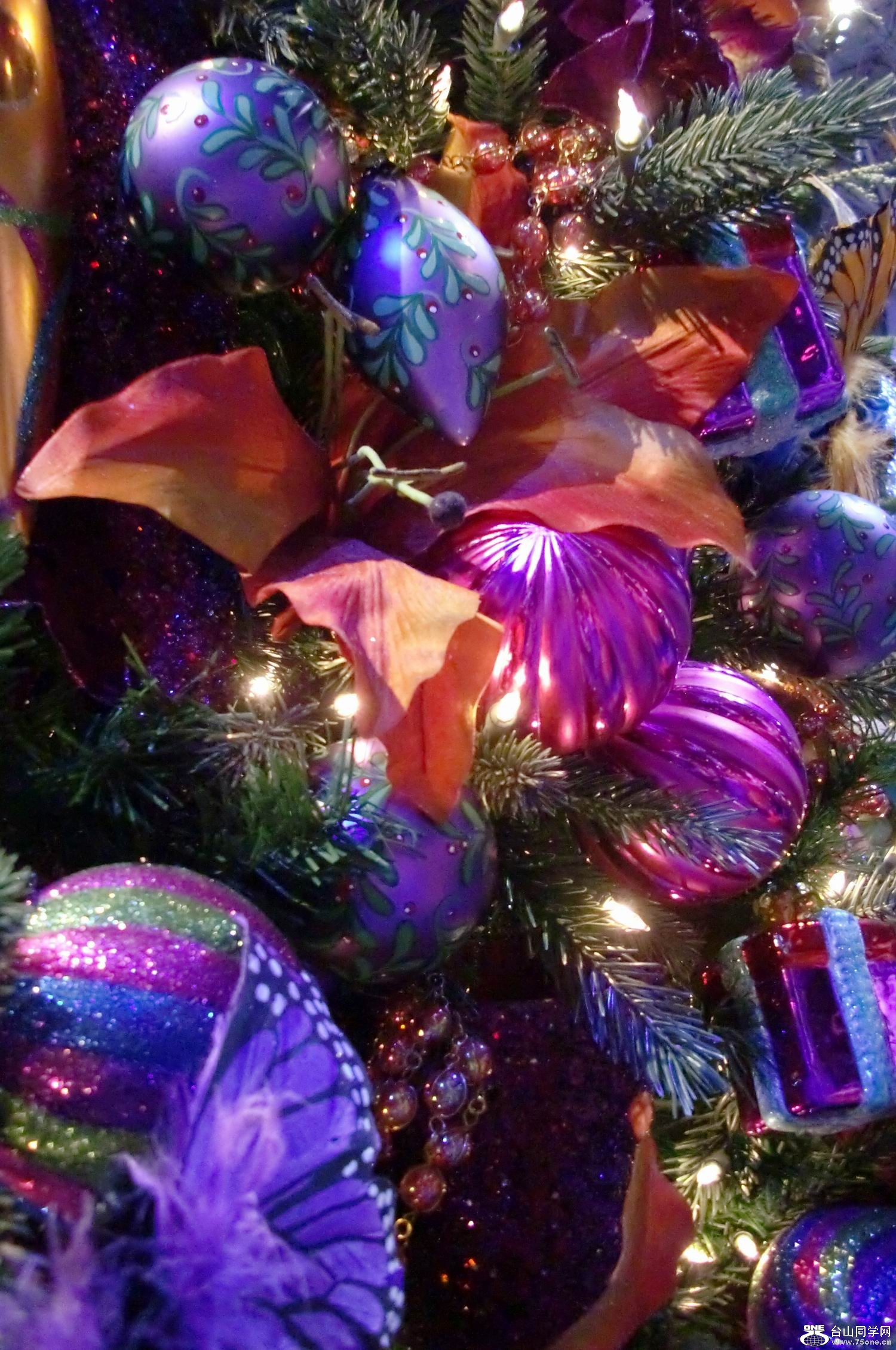 2011.12 ʥֳ (23).JPG