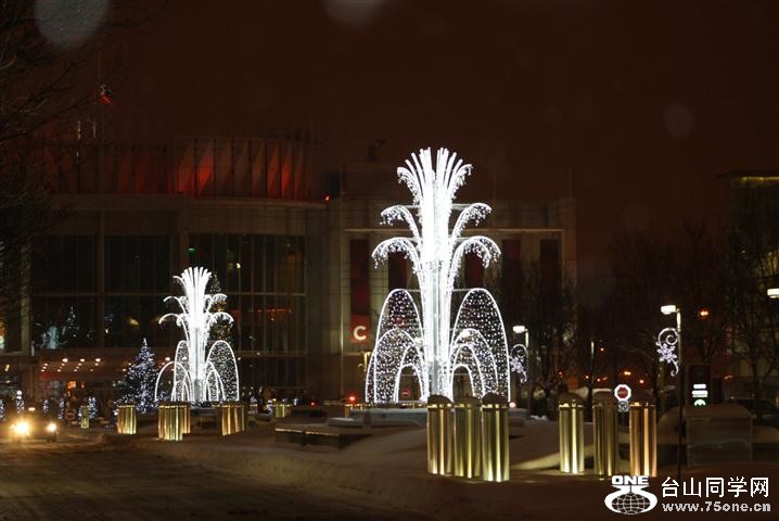 Picture 320 (Small).jpg