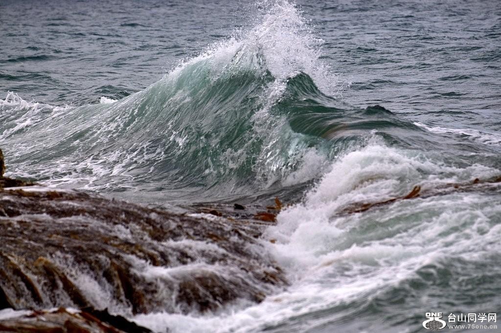 159_6619_44cb2235db87532[1].jpg