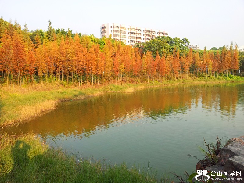 20111218_162005_.jpg
