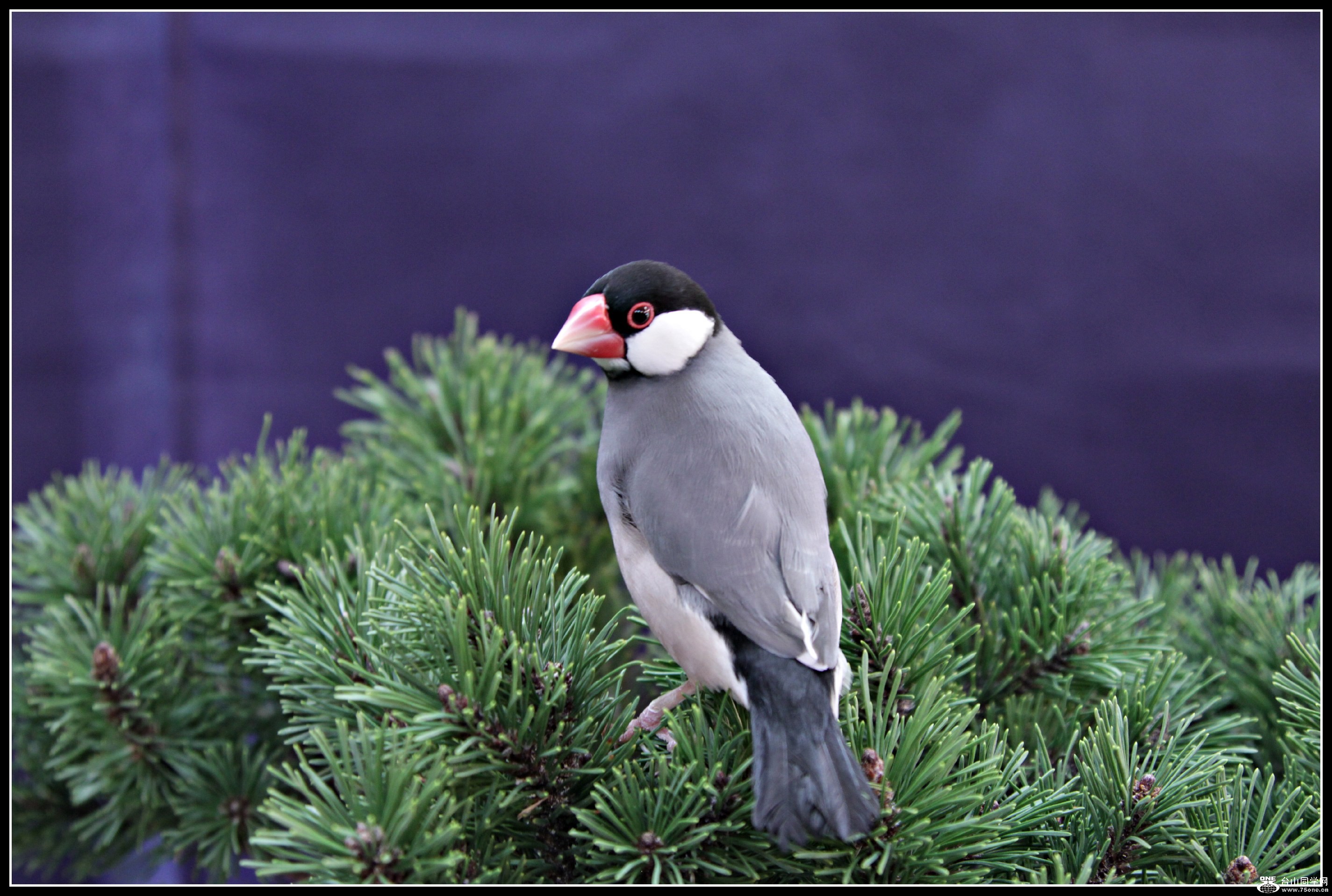 IMG_6372.JPG