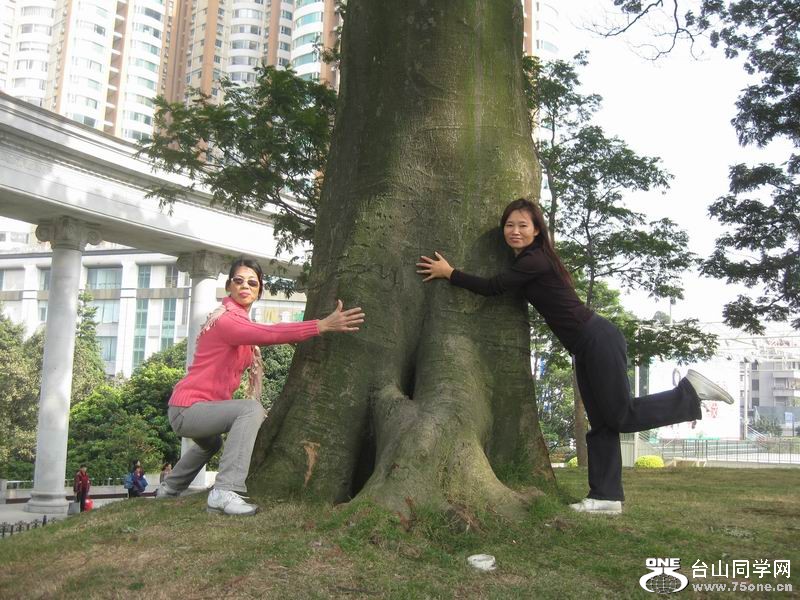2011.12.17.江门东湖 147.jpg