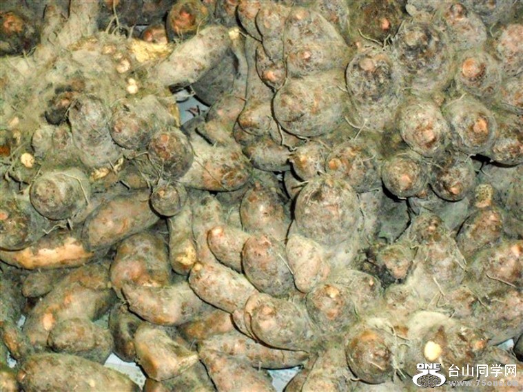 psb_conew2.jpg
