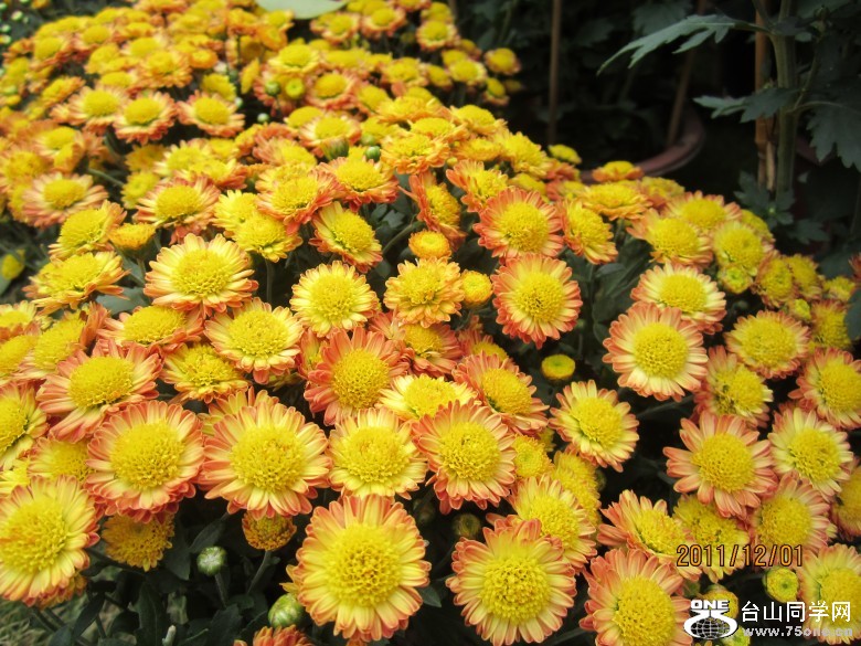 地王广场 307_conew1.jpg