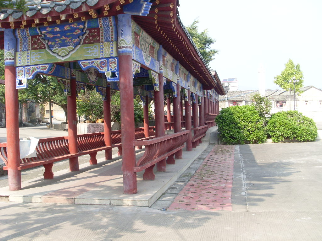 SL373484.JPG