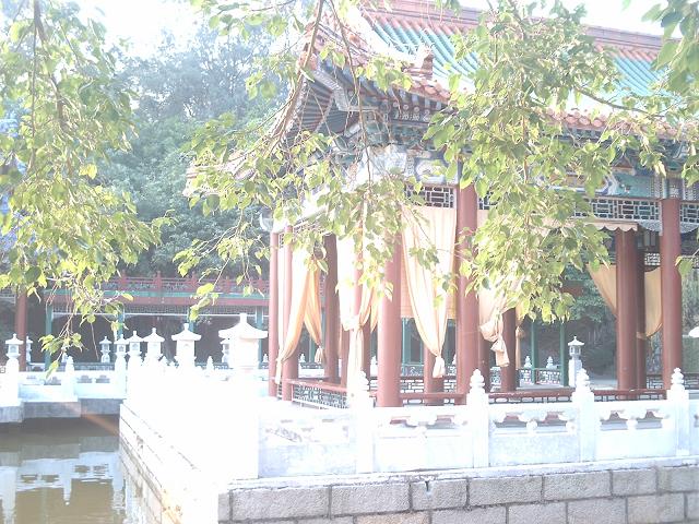 DSC_0239.JPG
